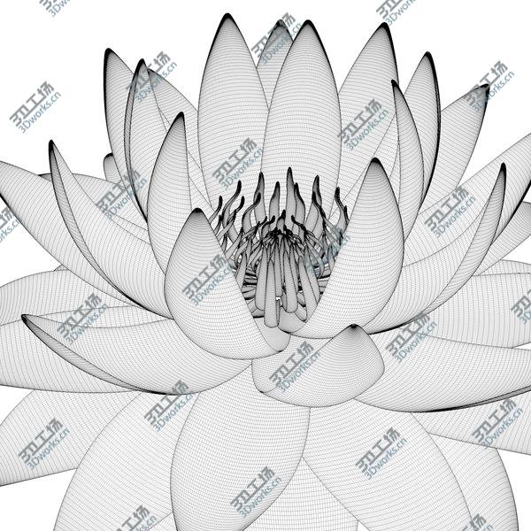images/goods_img/20210312/3D model Lotus Animated/5.jpg
